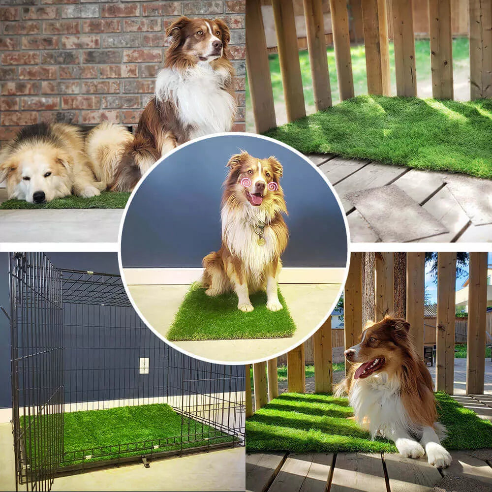 Tappeto per cani di alta qualità per interni ed esterni con protezione anti-perdite per comfort e comodità