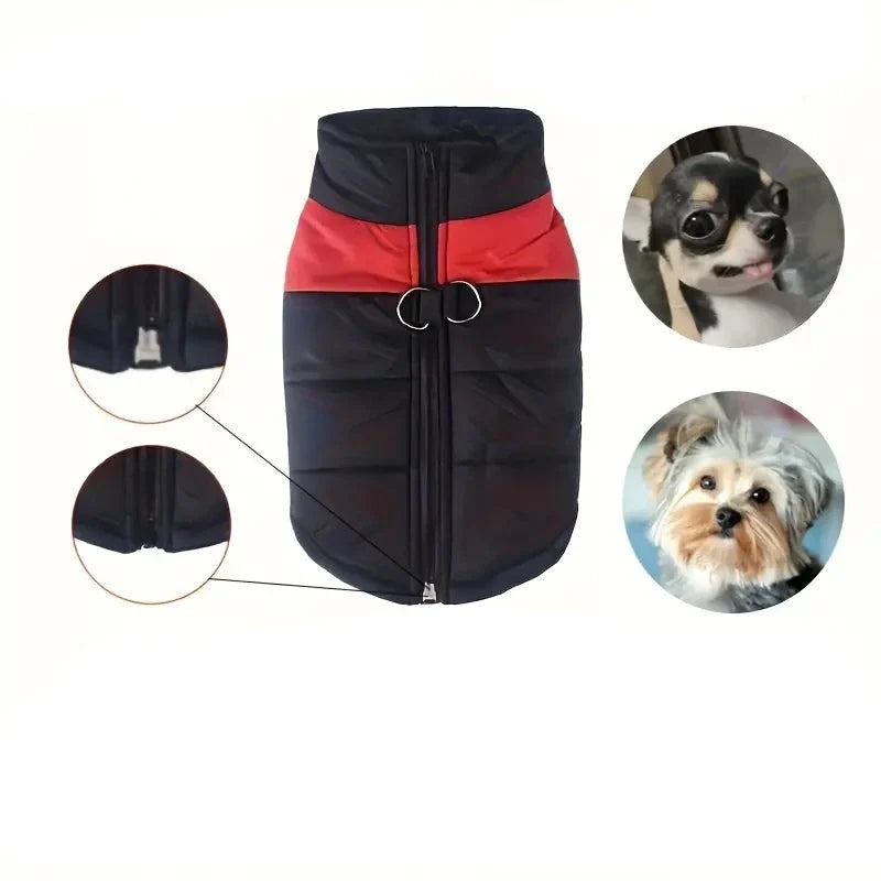 Cappotto impermeabile per cani con cerniera posteriore
