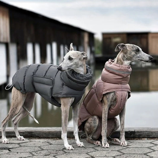 Protezione ottimale per i piedi degli animali domestici per il massimo comfort e sicurezza