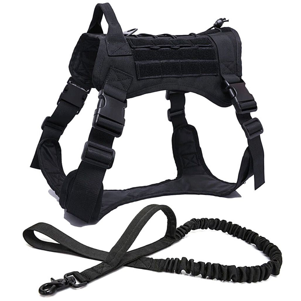 Imbracatura tattica regolabile per cani per il massimo comfort e sicurezza