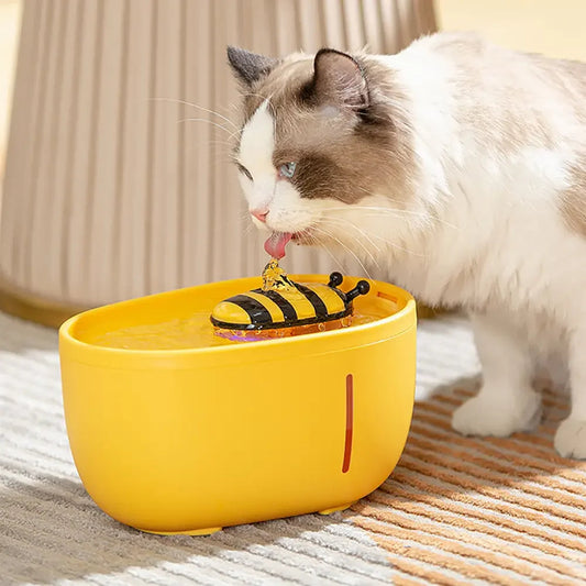 Continua la tua esperienza con acqua fresca in qualsiasi momento e ovunque