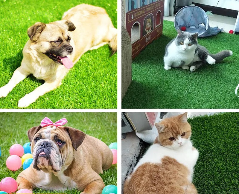 Tappeto per cani di alta qualità per interni ed esterni con protezione anti-perdite per comfort e comodità