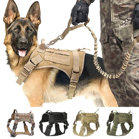 Imbracatura tattica regolabile per cani per il massimo comfort e sicurezza
