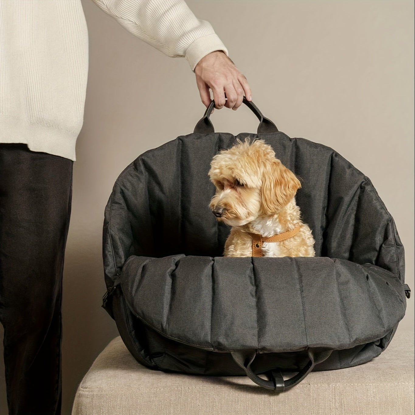 Borsa impermeabile per trasporto cani e gatti per comodità e sicurezza