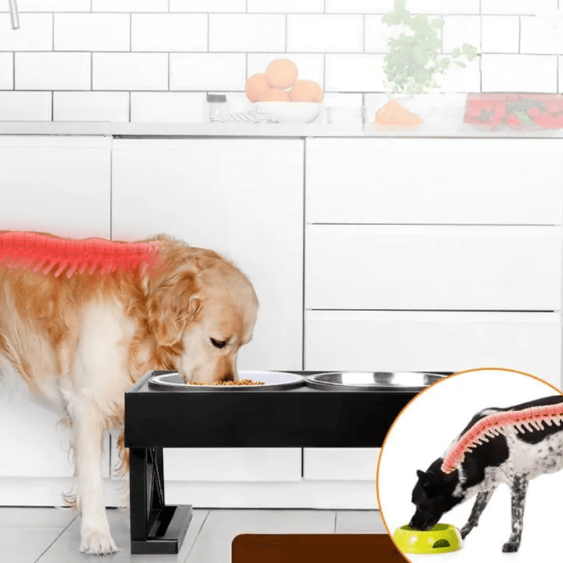 Ciotola rialzata comoda per cani con tappetino antiscivolo
