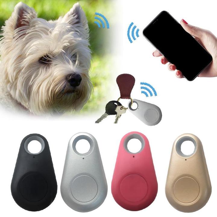 Localizzatore GPS per animali domestici compatto e affidabile