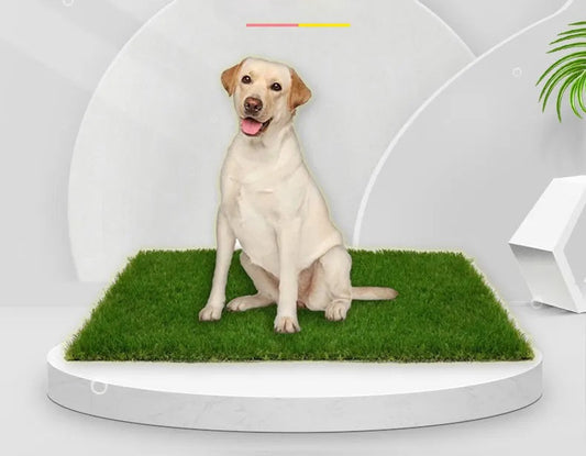 Tappeto per cani di alta qualità per interni ed esterni con protezione anti-perdite per comfort e comodità