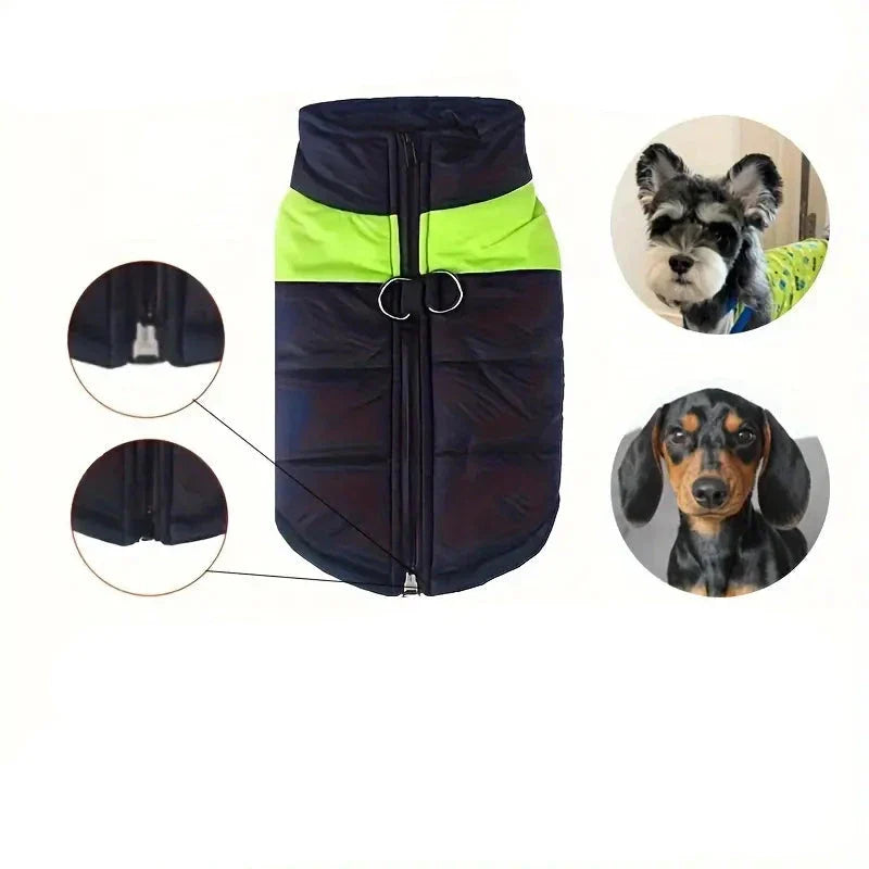 Cappotto impermeabile per cani con cerniera posteriore