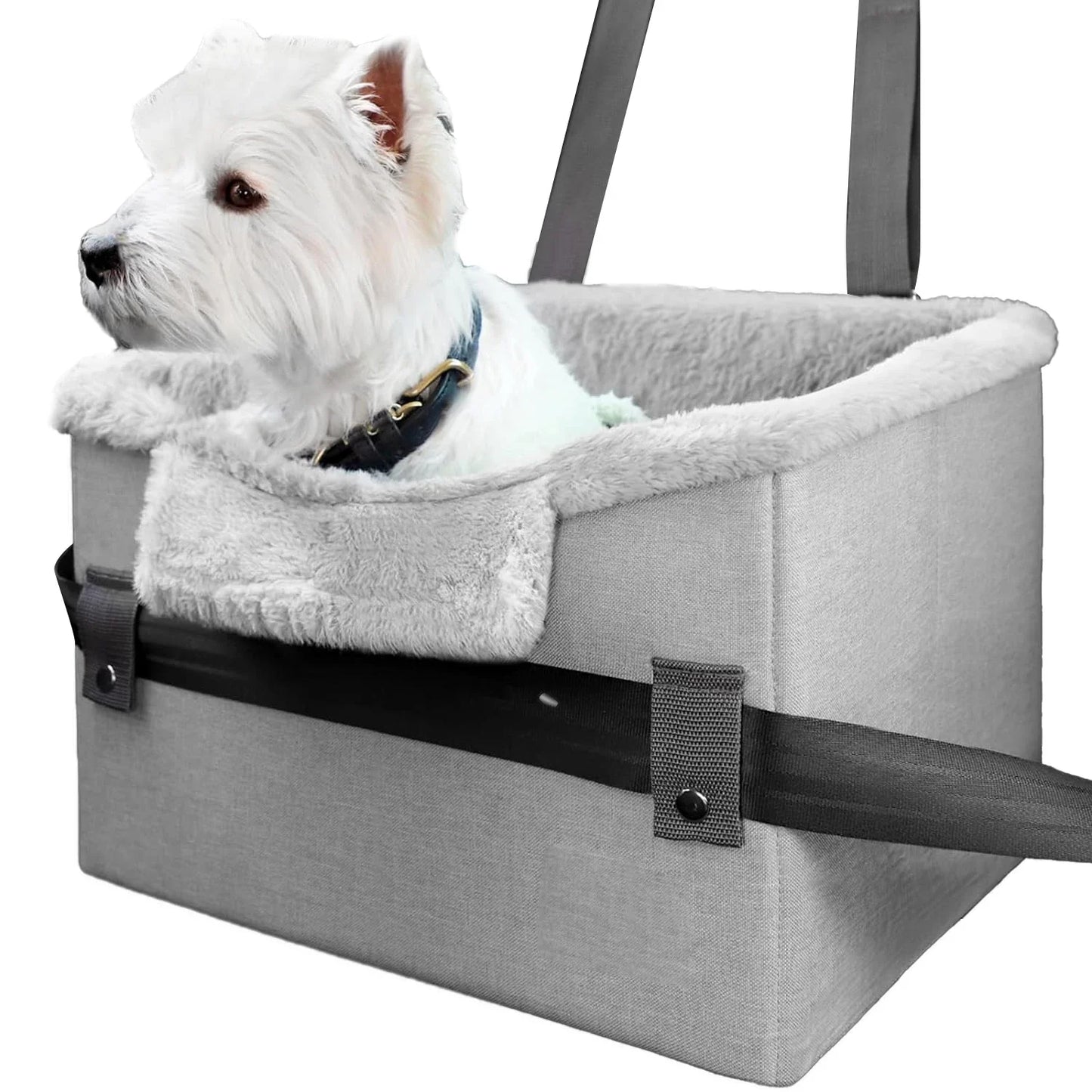 Seggiolino Auto Comodo e Portatile per Cani di Piccola Taglia