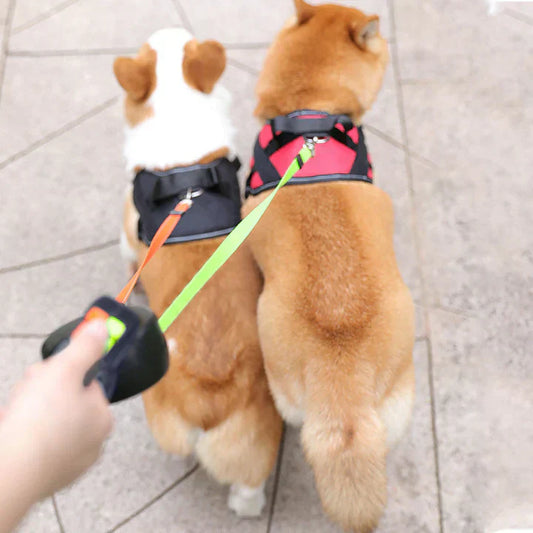 Gradino per Cani Senza Manopola con Doppio Sistema di Controllo per Maggiore Sicurezza