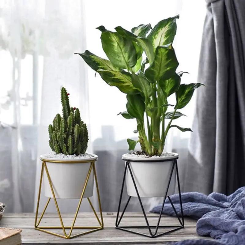 Vaso elegante in ceramica con supporto in ferro - Fioriera moderna per piante aeree e succulente