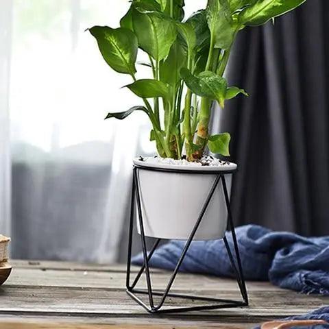 Vaso elegante in ceramica con supporto in ferro - Fioriera moderna per piante aeree e succulente