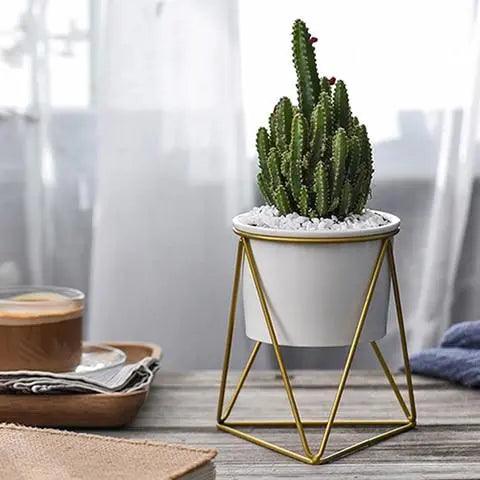 Vaso elegante in ceramica con supporto in ferro - Fioriera moderna per piante aeree e succulente