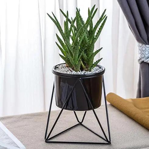 Vaso elegante in ceramica con supporto in ferro - Fioriera moderna per piante aeree e succulente