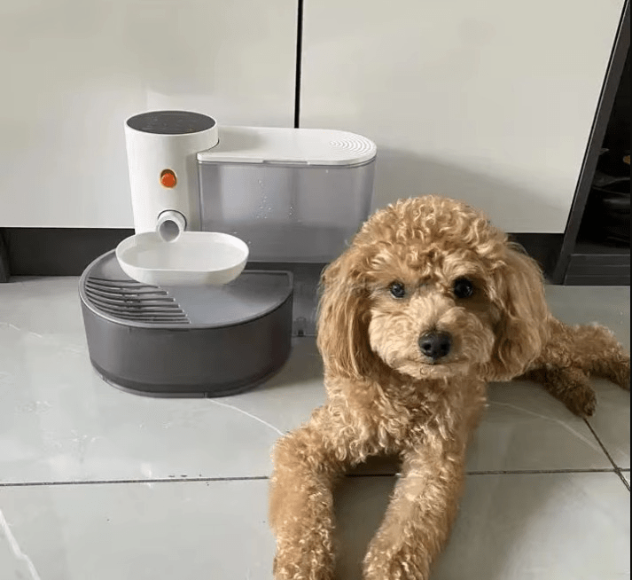 PetFresh | Fontana d'acqua wireless da 1,8L per un facile e sano piacere di bere
