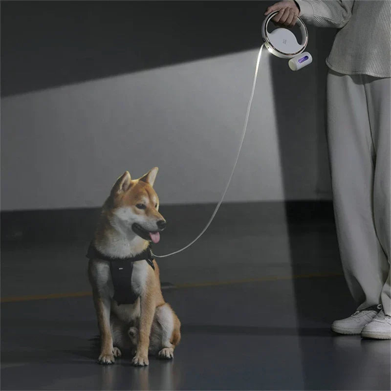 Guinzaglio Estensibile per Cani per Controllo e ComoditĂ  Massimi