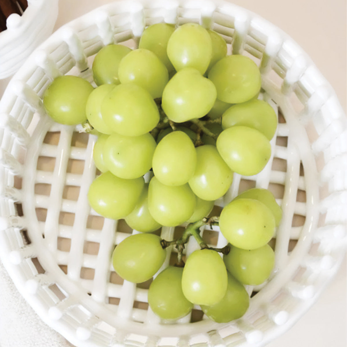 Collezione Forma Basket - Contenitore Elegante e Pratico per un Interno Sofisticato