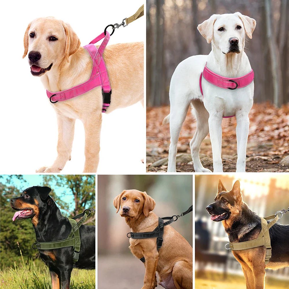 Pettorina da allenamento in nylon comoda per cani piccoli e medi