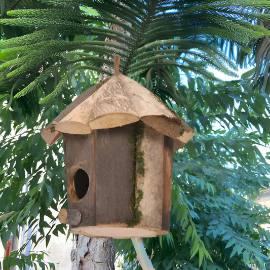 Domus - Affascinante Casetta Rustica in Legno con Design Colibrì