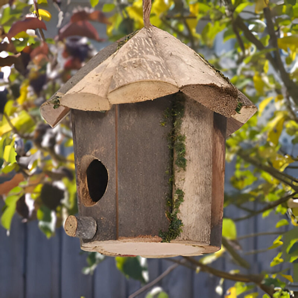 Domus - Affascinante Casetta Rustica in Legno con Design Colibrì