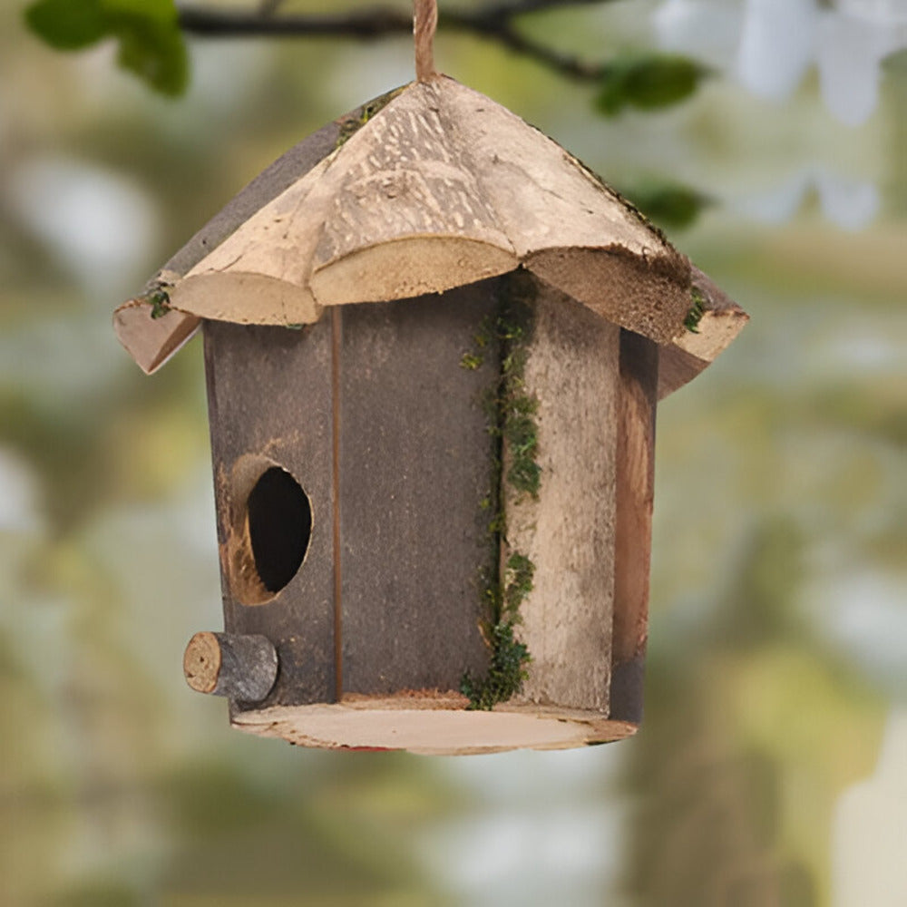 Domus - Affascinante Casetta Rustica in Legno con Design Colibrì