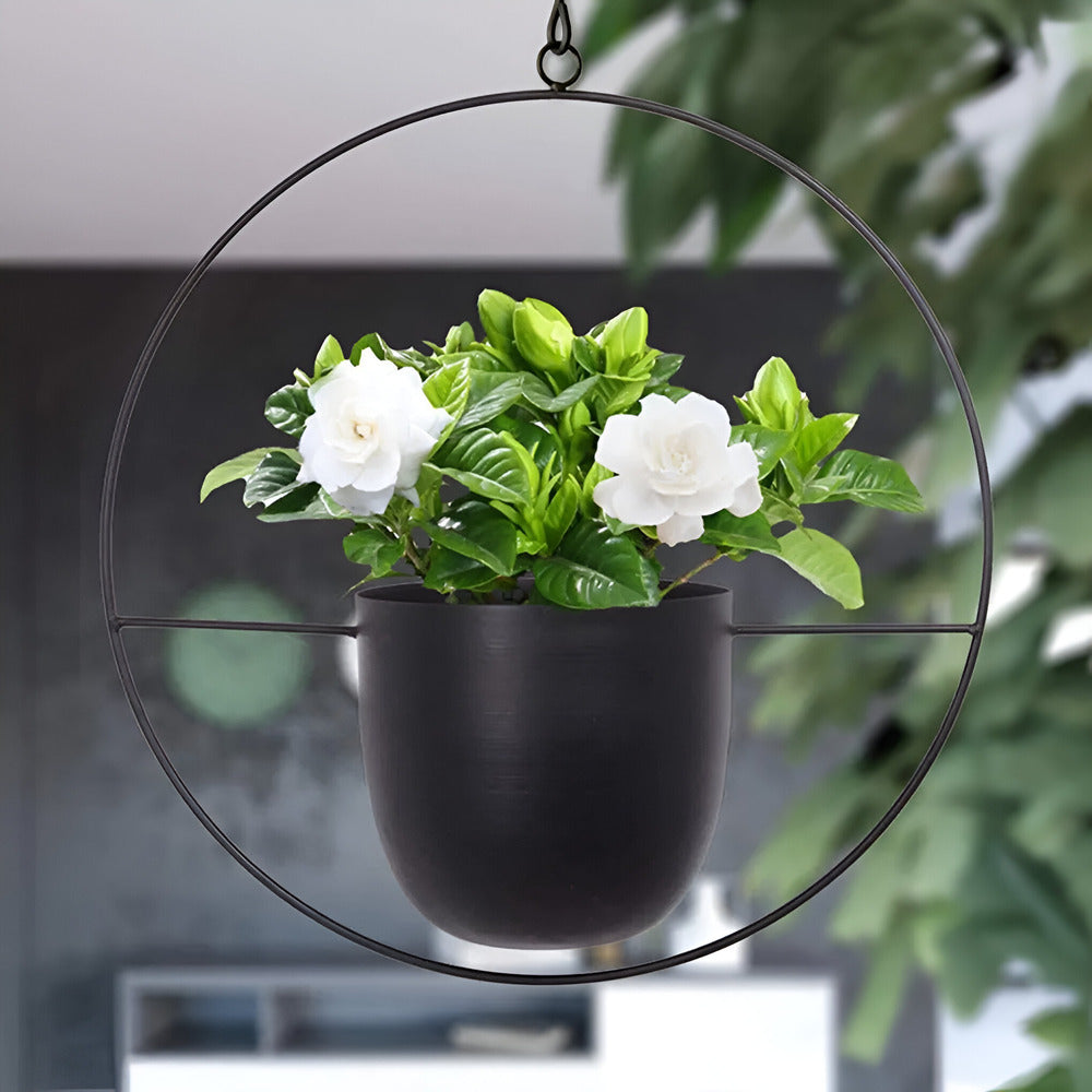 Caelessa - Vaso da parete elegante e raffinato per un interno moderno
