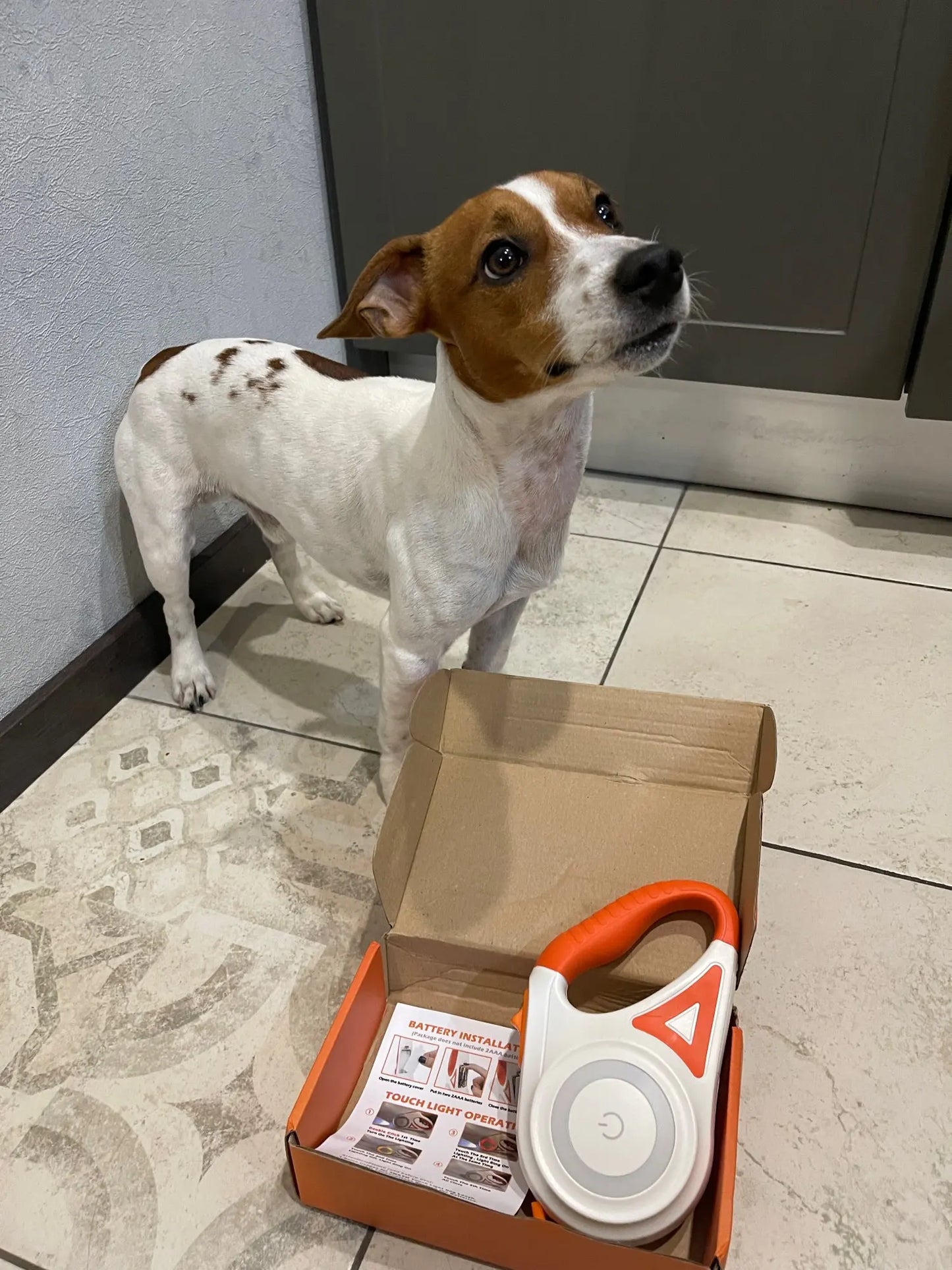 Sicurezza definitiva per cani: illuminazione LED e portata di 5m per passeggiate notturne