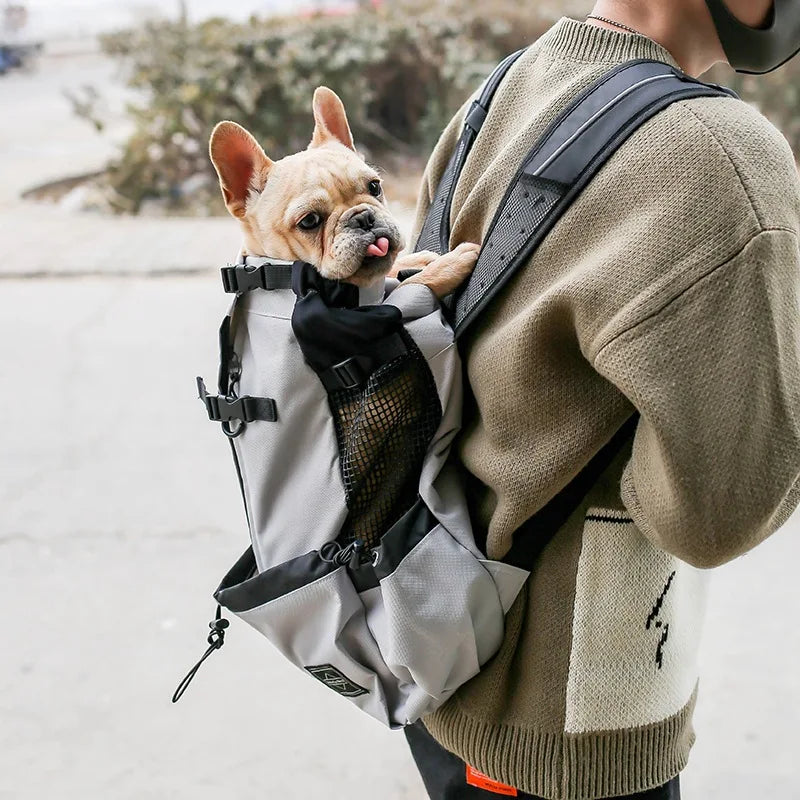 Borsa da viaggio di lusso per cani piccoli e medi