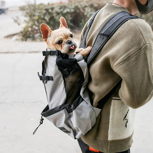 Borsa da viaggio di lusso per cani piccoli e medi