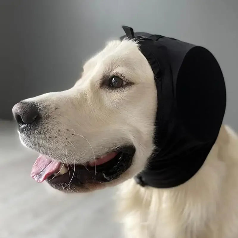 Protezioni per le orecchie per cani