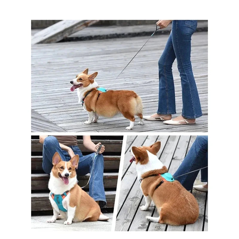 Pettorina per cane confortevole con guinzaglio regolabile e design traspirante