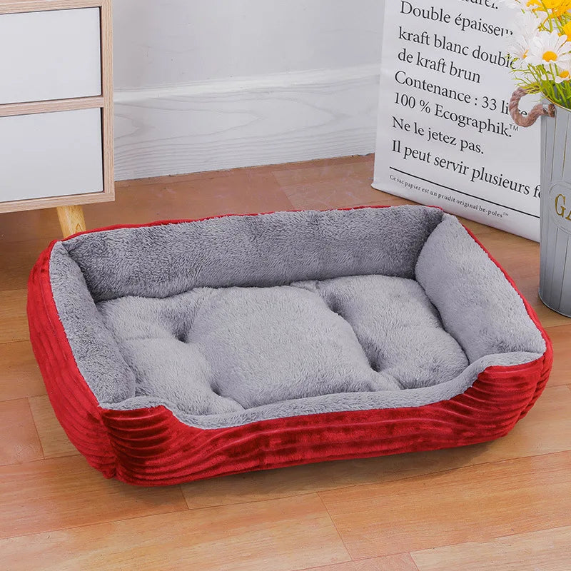 Casa invernale confortevole per cani