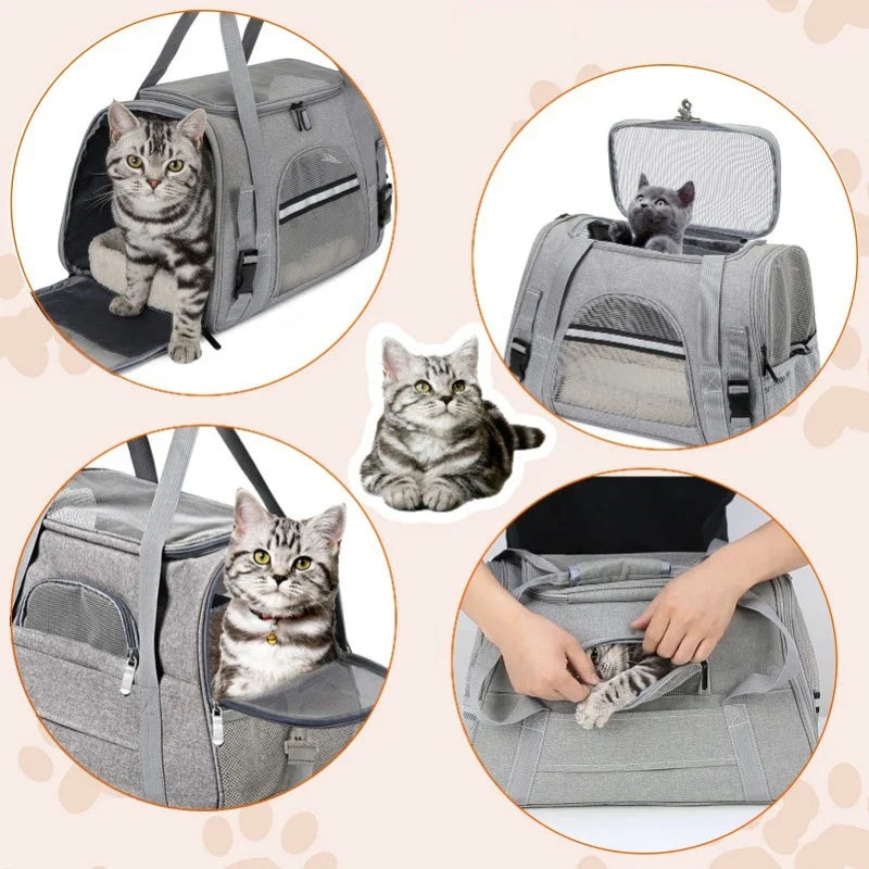 Zaino portatile compatto e elegante per il trasporto facile degli animali domestici