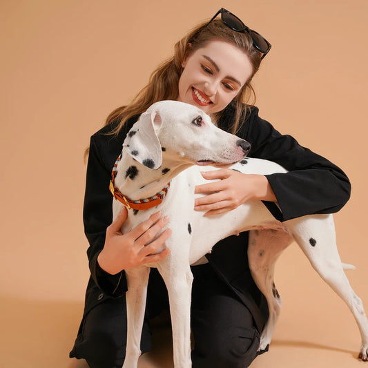 Collari per cani vivaci e freschi per ogni cane avventuroso