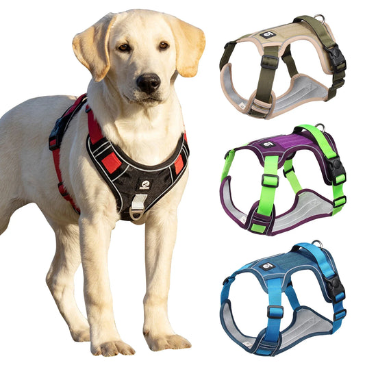 Imbracatura tattica per cani di taglia media e grande - Comfort e sicurezza durante le avventure