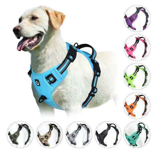 Pettorina regolabile per cani per il massimo comfort e sicurezza