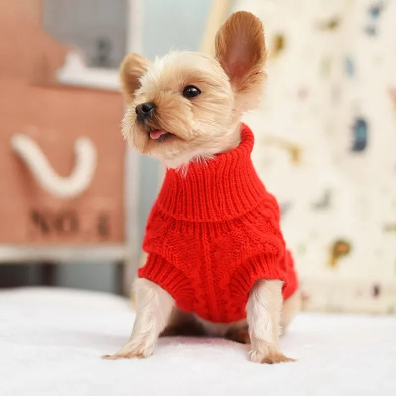 Maglione comodo e caldo per animali domestici per una protezione extra accogliente