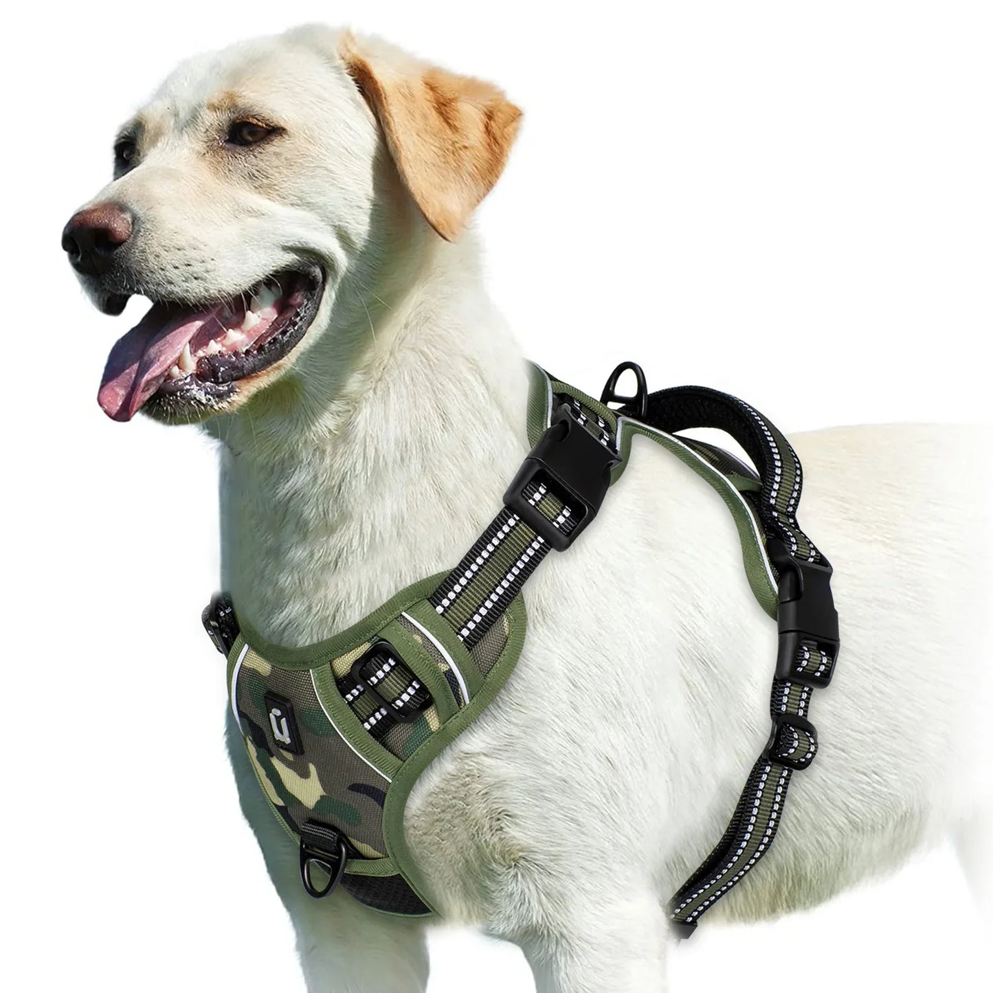 Pettorina regolabile per cani per il massimo comfort e sicurezza