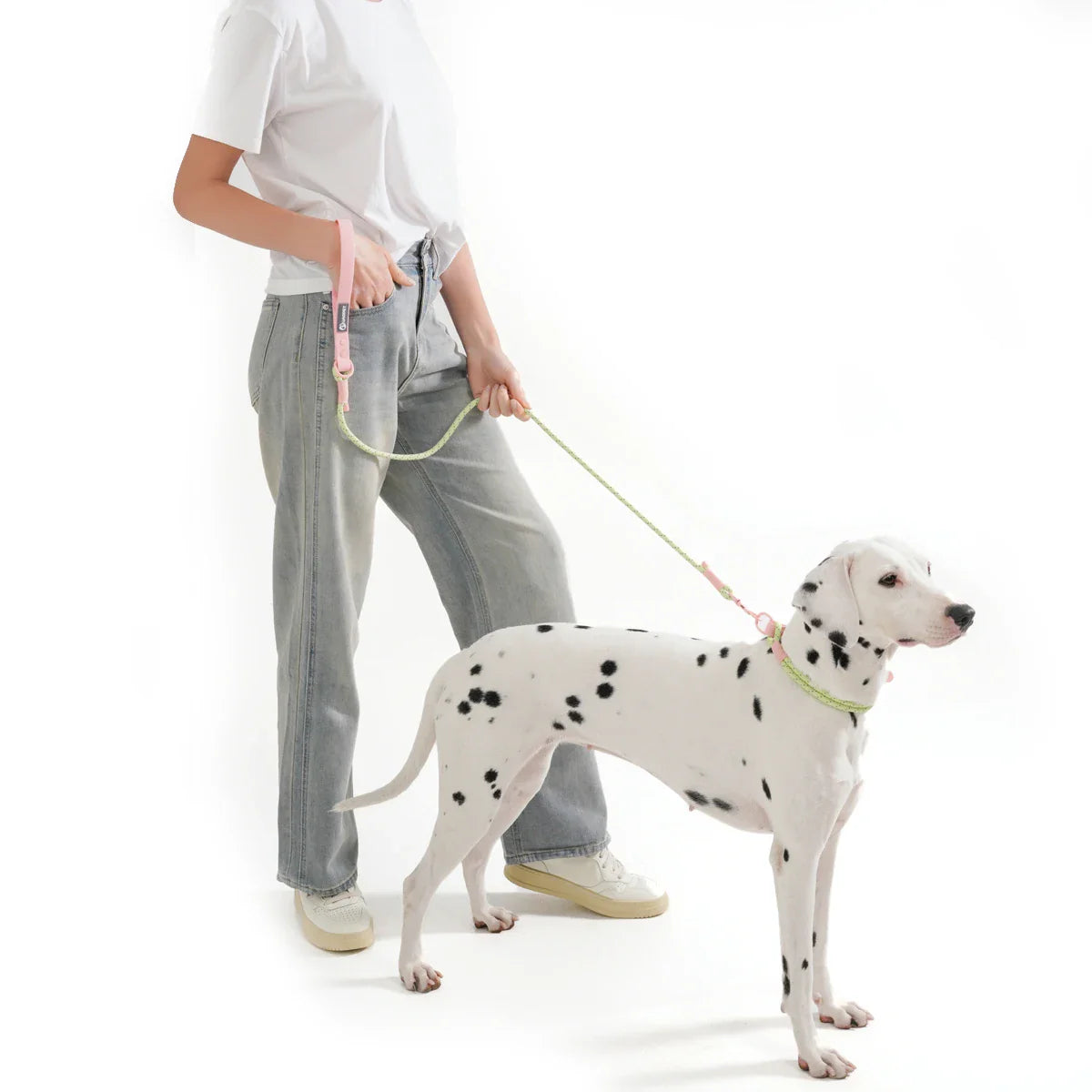 Guinzaglio per cani in nylon intrecciato a mano WebTrek Luxe per comfort e durata