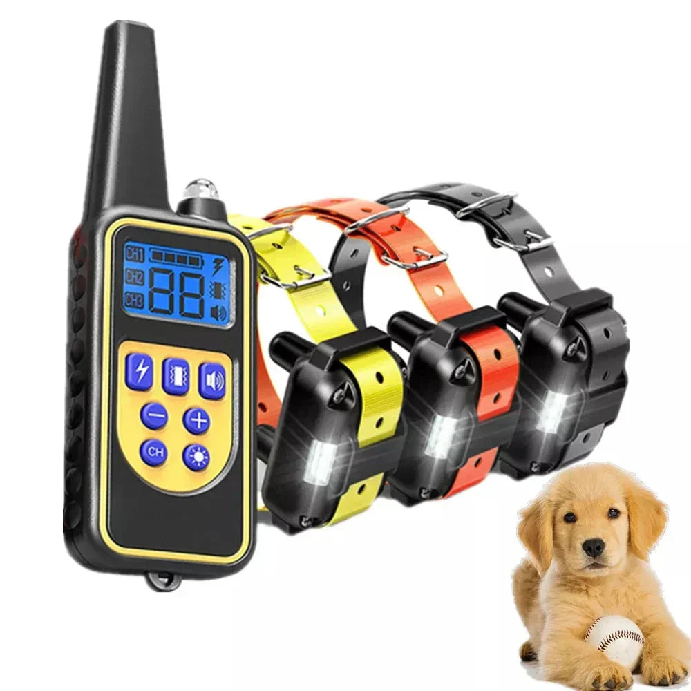 Collare impermeabile per addestramento cani con batteria ricaricabile – addestramento facile ed efficiente