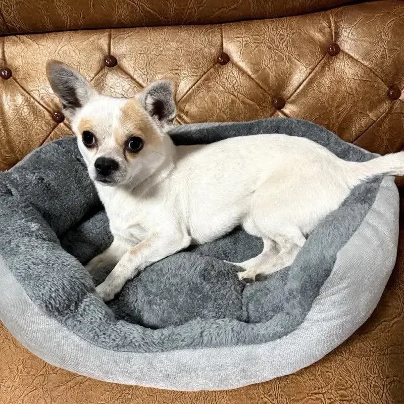 Comodo caldo letto per cani e gatti
