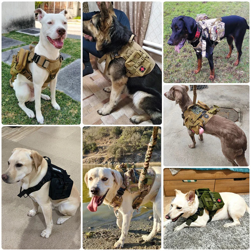 Pettorina tattica comoda per cani con guinzaglio per passeggiate sicure e alla moda