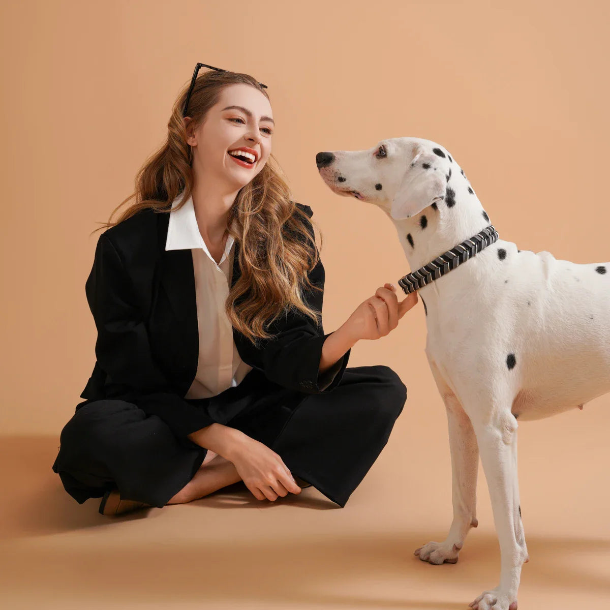 Collari per cani vivaci e freschi per ogni cane avventuroso