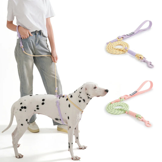 Guinzaglio per cani in nylon intrecciato a mano WebTrek Luxe per comfort e durata