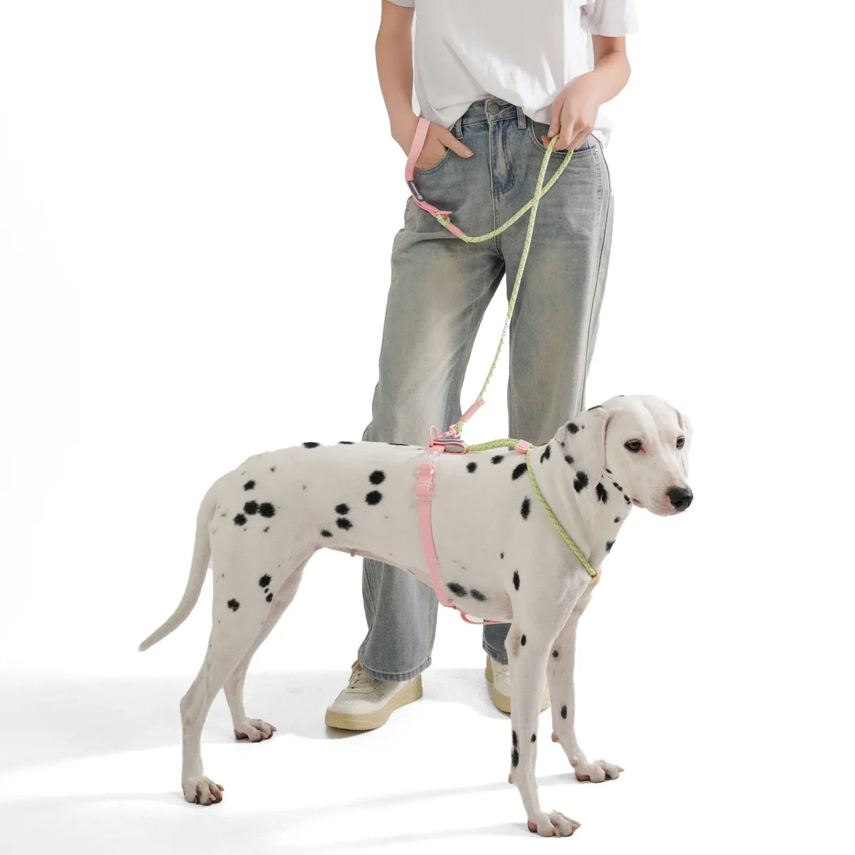 Guinzaglio per cani in nylon intrecciato a mano WebTrek Luxe per comfort e durata