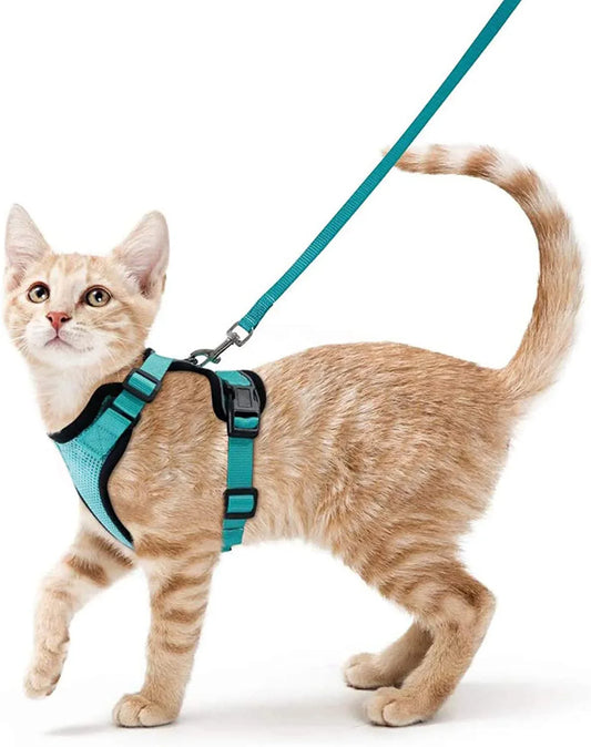 Pettorina comoda e sicura per camminare per gatti