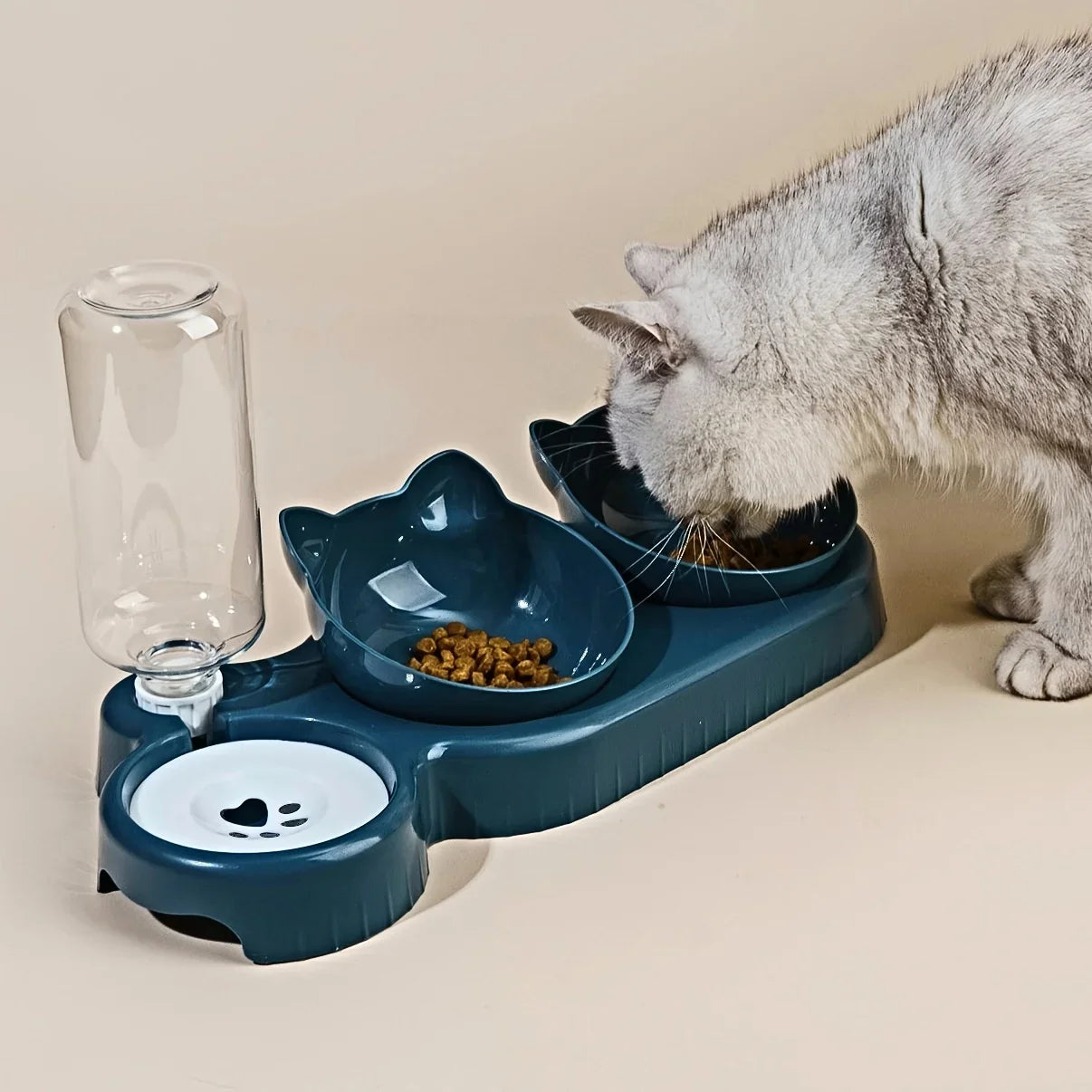Ciotola per cibo per gatti comoda ed ergonomica per un pasto sano
