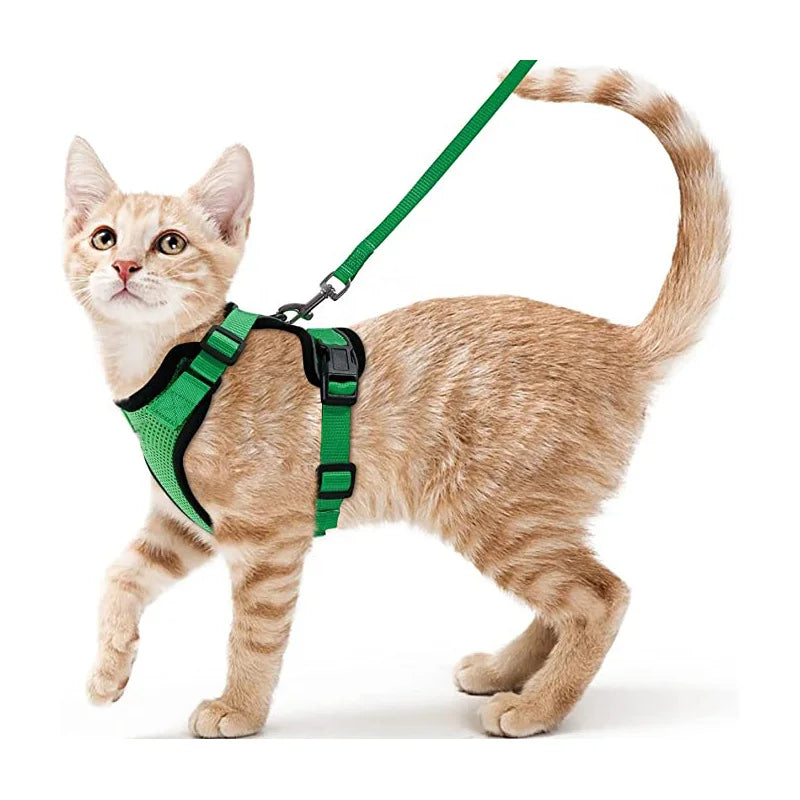 Pettorina comoda e sicura per camminare per gatti