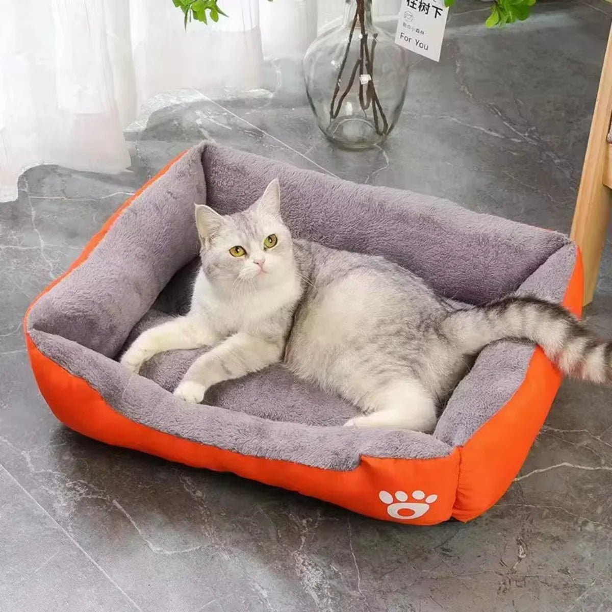 Casa invernale confortevole per cani
