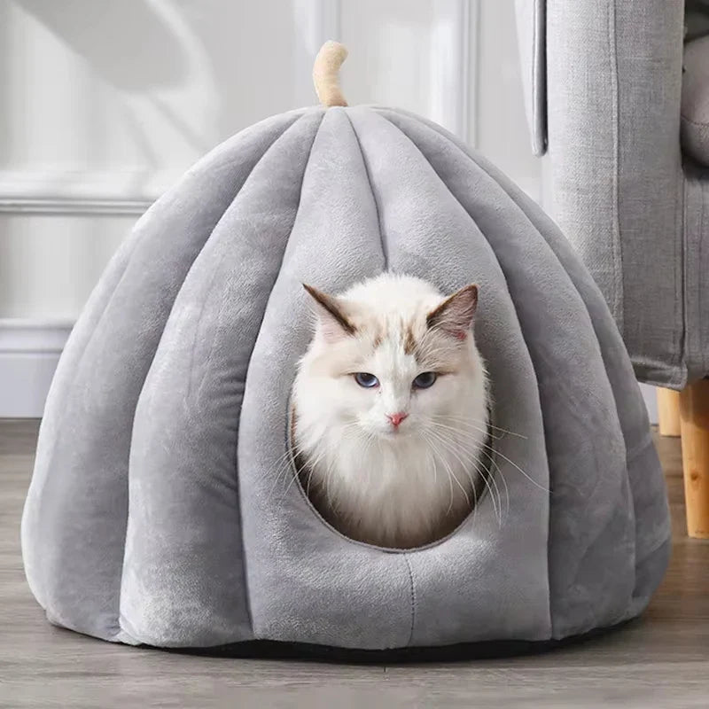 Cuccia chiusa accogliente per gatti per le calde giornate invernali